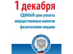 1 декабря - срок уплаты налогов физическими лицами